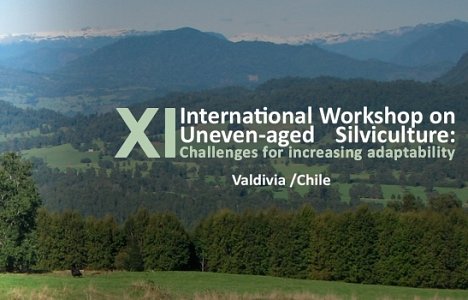 XI Congreso Internacional IUFRO sobre Silvicultura Multietánea