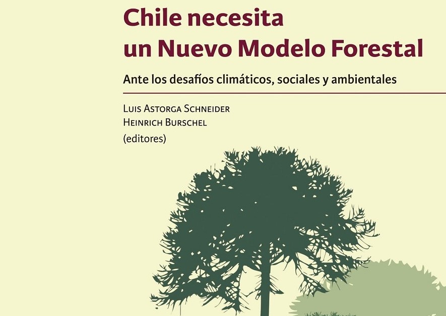 Expertos destacan la urgente necesidad de contar con un nuevo modelo forestal en Chile