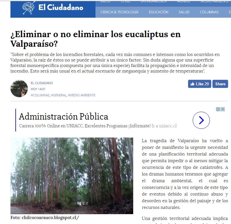 ¿Eliminar o no eliminar los eucaliptus en Valparaíso?