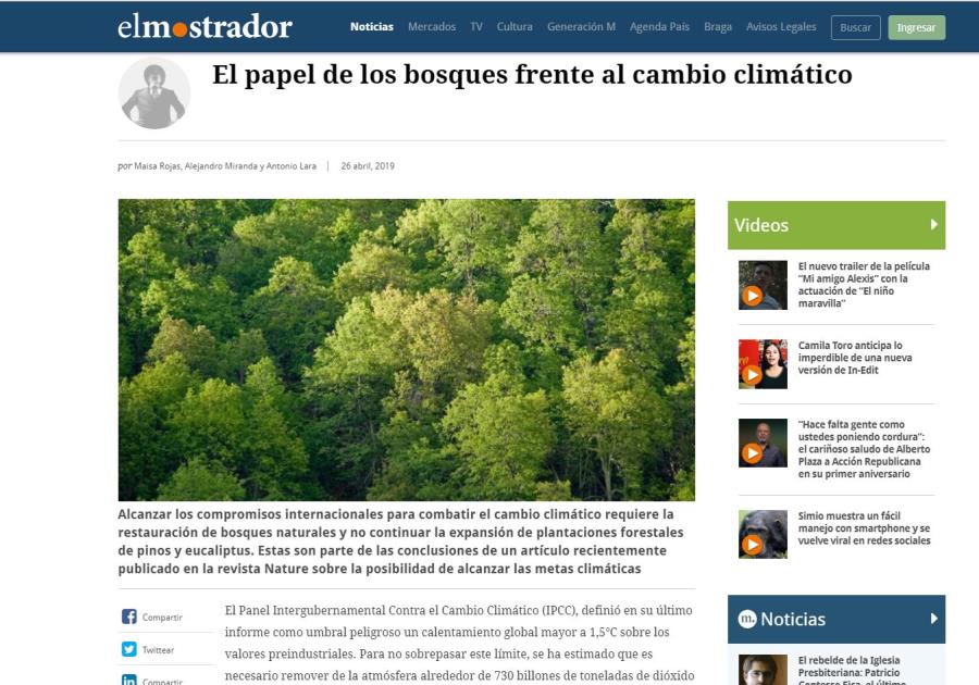 El papel de los bosques frente al cambio climático