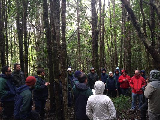 UACh capacita a CONAF en silvicultura de bosques nativos