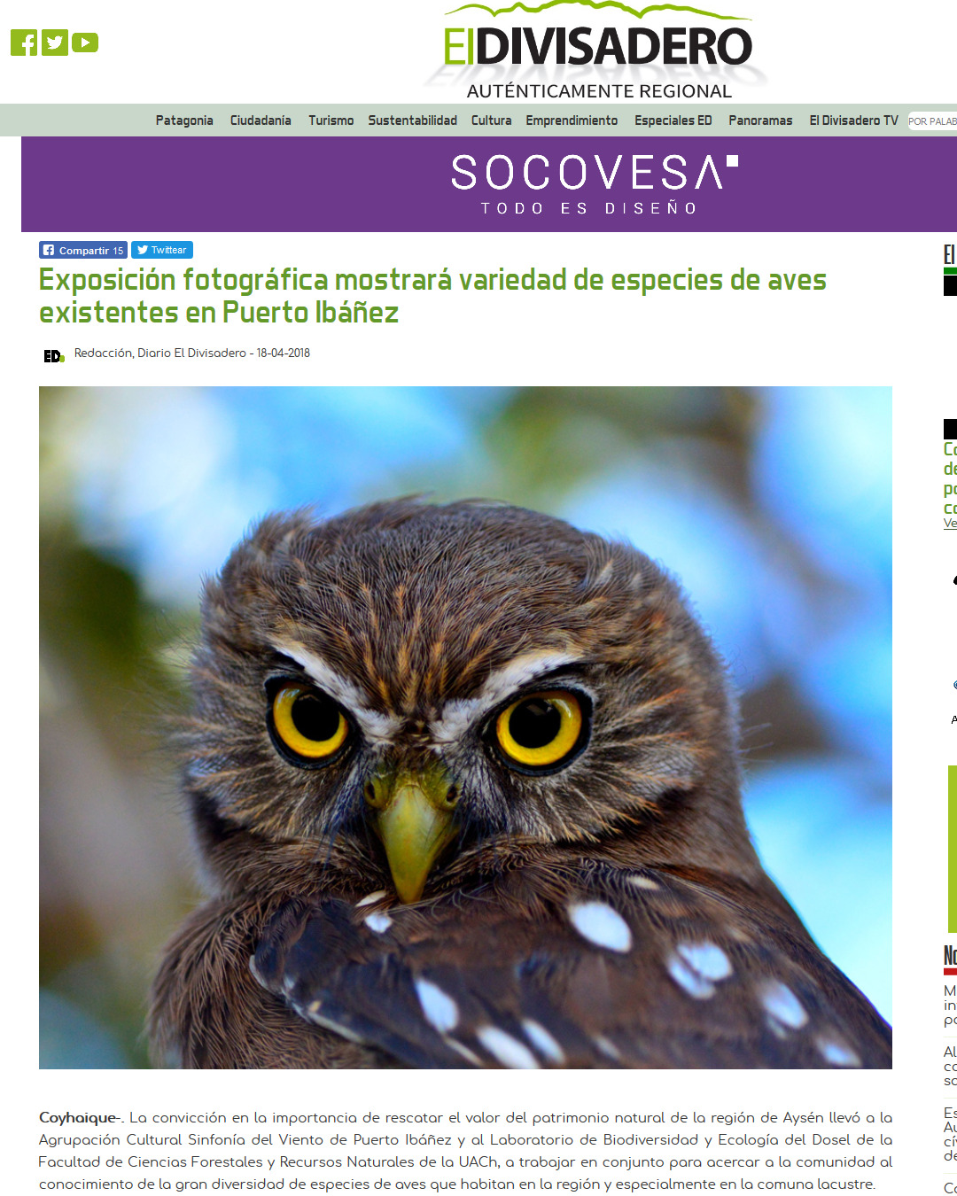 Exposición fotográfica mostrará variedad de especies de aves existentes en Puerto Ibañez
