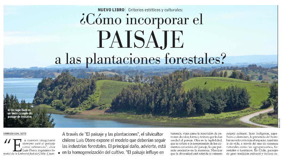 ¿Cómo incorporar el paisaje a las plantaciones forestales?