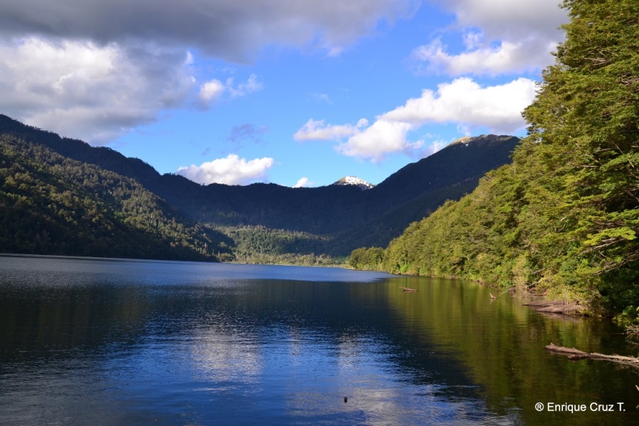 Académicos UACh aportan información clave para la creación de Santuario de la Naturaleza Cuenca del Lago Tinquilco