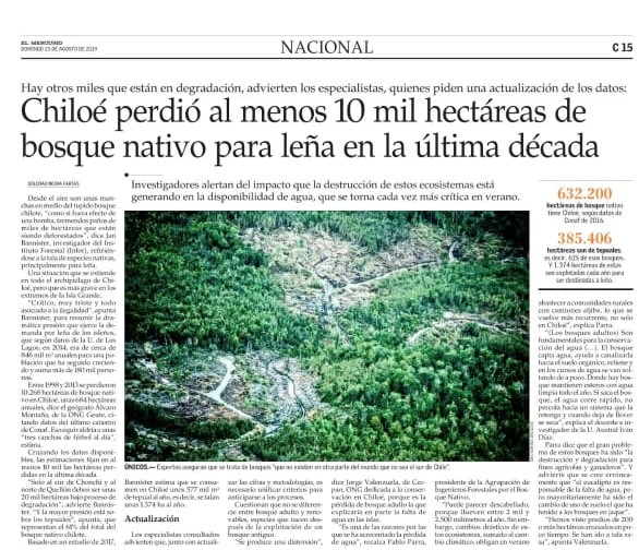 Chiloé perdió al menos 10 mil hectáreas de bosque nativo para leña en la última década