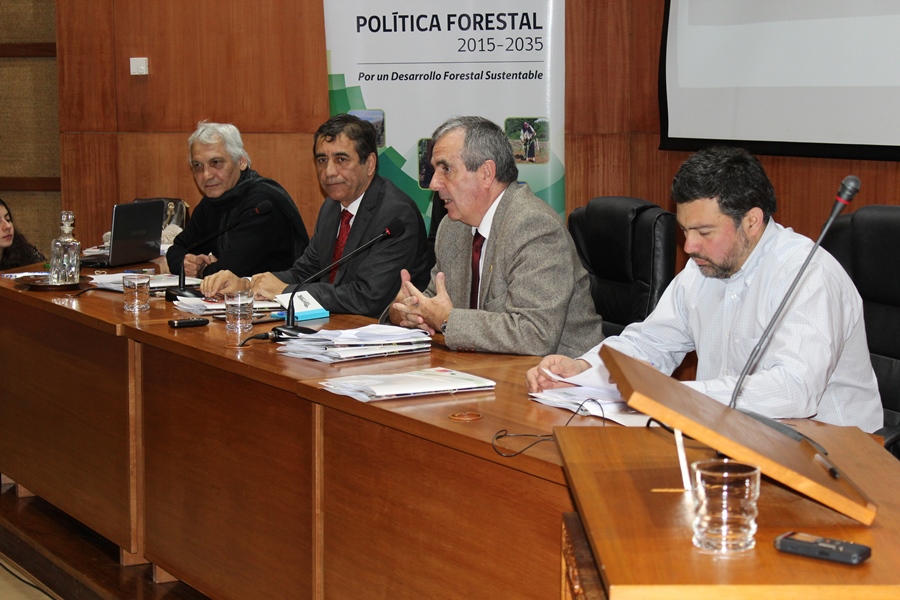 UACh fue sede de sesión plenaria del Consejo de Política Forestal