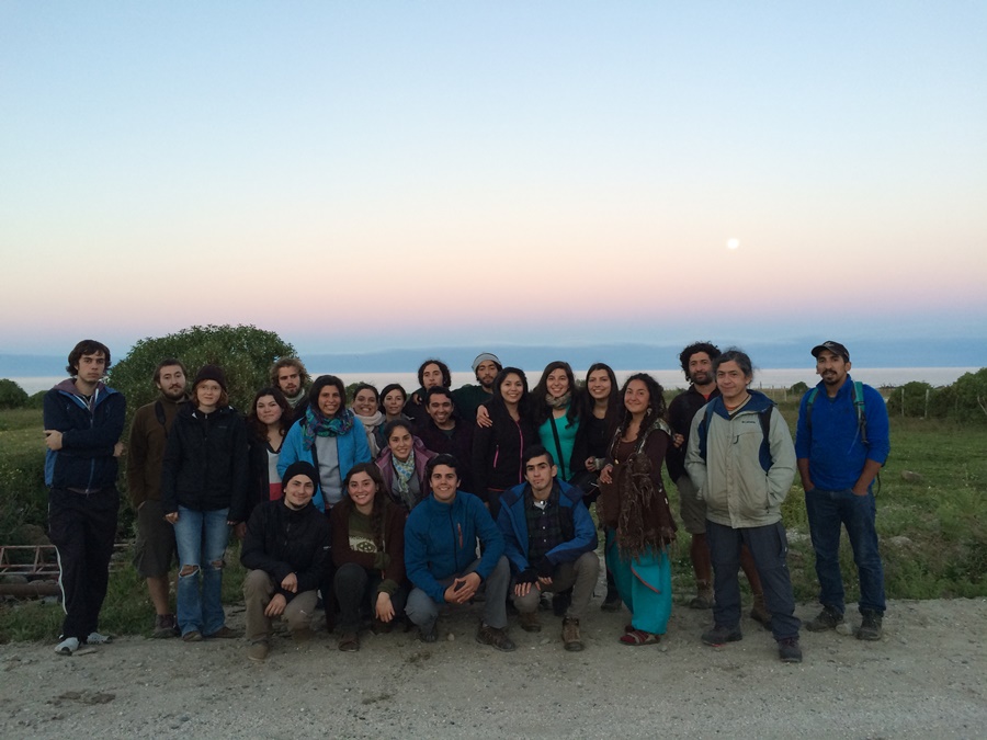 Estudiantes de Ingeniería en Conservación de Recursos Naturales realizan investigación en Isla Mocha