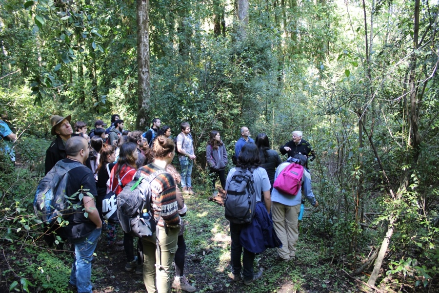 Bosque nativo degradado y manejo sustentable: estudiantes  conocen en terreno casos contrastantes