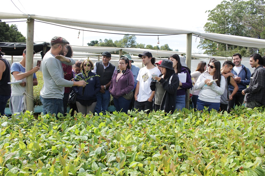 Estudiantes de Universidad de la Frontera aprenden a identificar plantas de calidad en vivero UACh