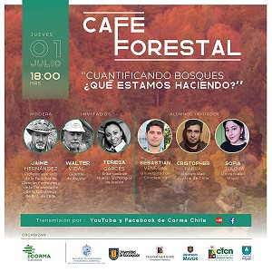 Café Forestal: Cuantificando bosques: ¿Qué estamos haciendo?