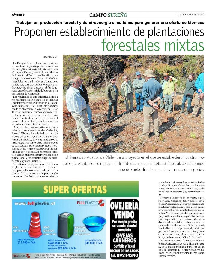Proponen establecimiento de plantaciones forestales mixtas