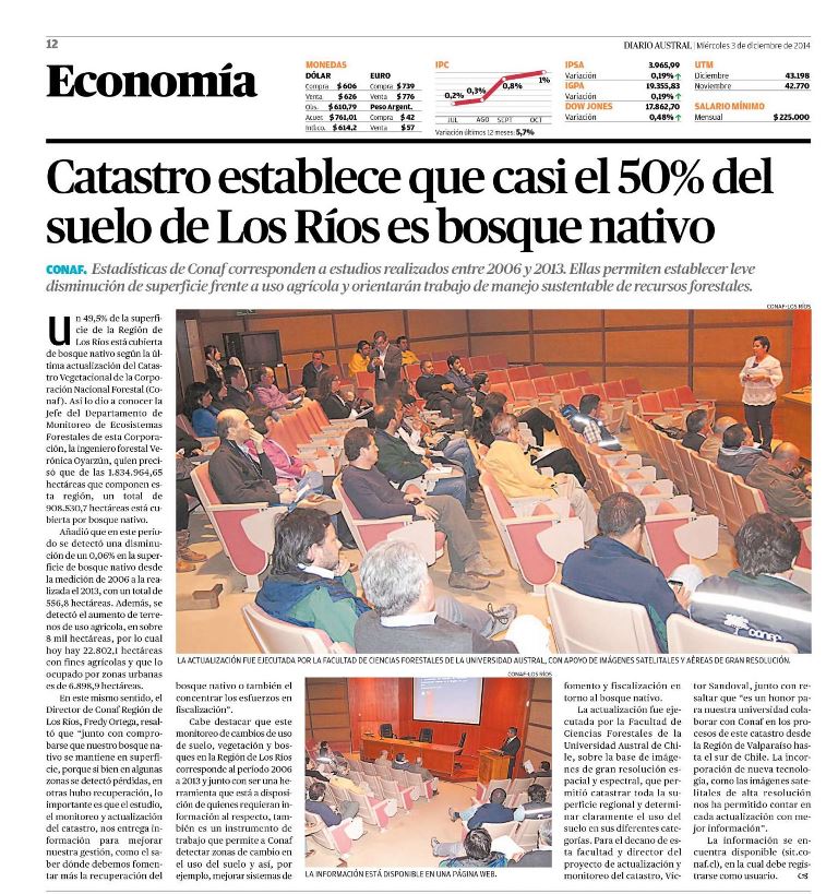 Catastro establece que casi el 50% del suelo de Los Ríos es bosque nativo