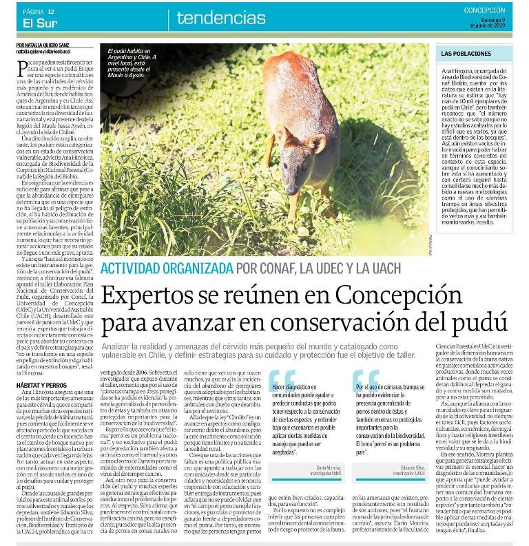 Expertos se reúnen en Concepción para avanzar en conservación del pudú
