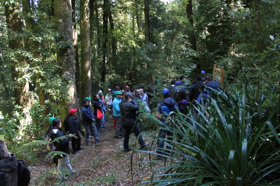Con plantación de árboles nativos Centro de Estudiantes de Ingeniería Forestal da inicio a sus actividades