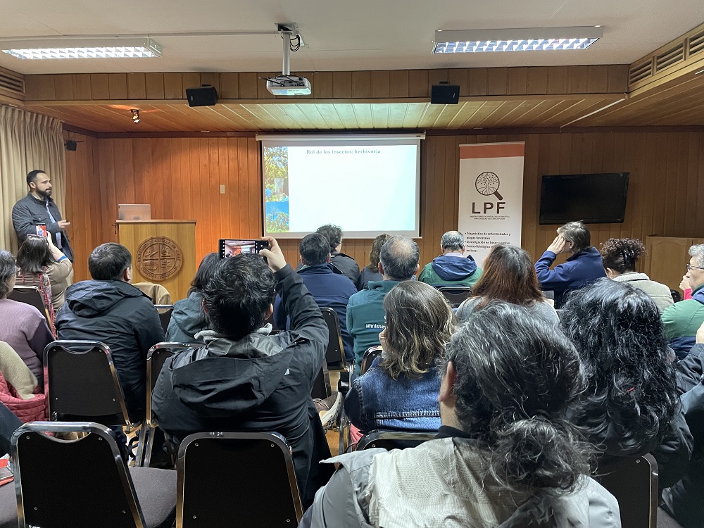 Proyecto investigó sobre la mortalidad de coigüe en el sur de Chile
