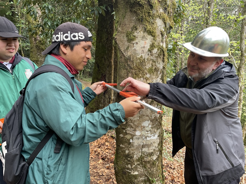 Liceo San Luis de Alba conoce el bosque del Arboretum y la dendrocronología