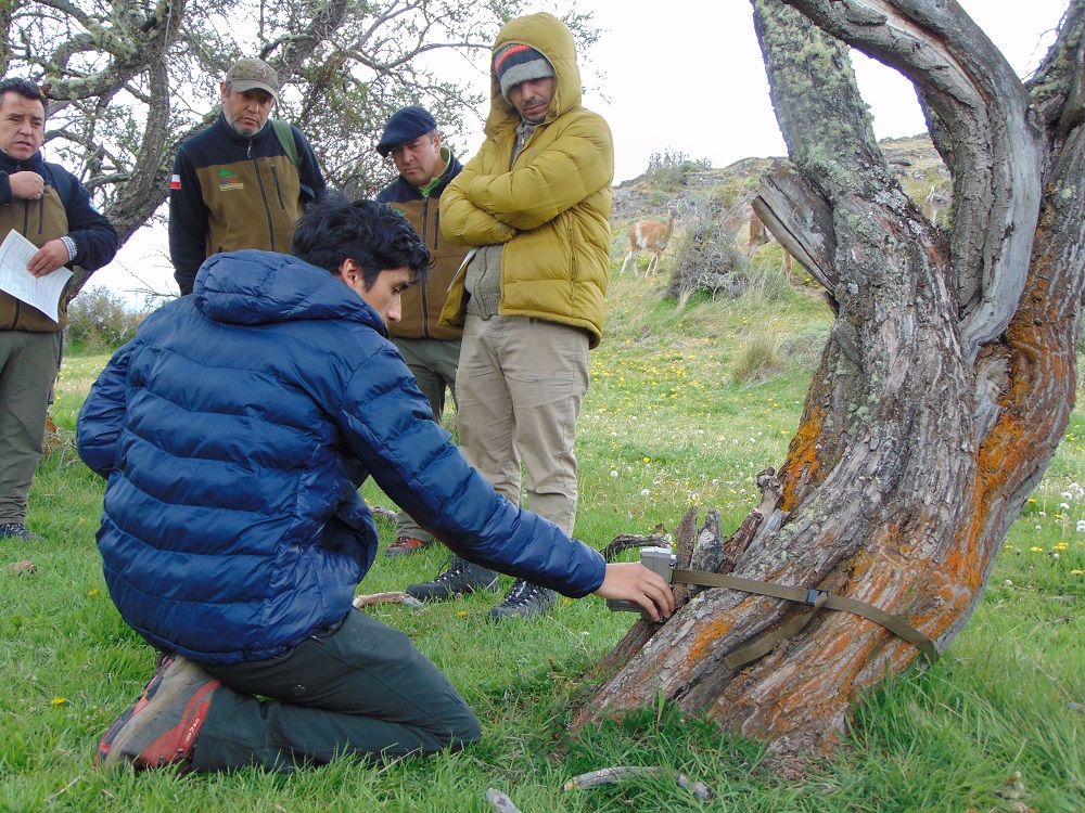 Fortalecen capacidades de monitoreo en áreas silvestres protegidas de Aysén