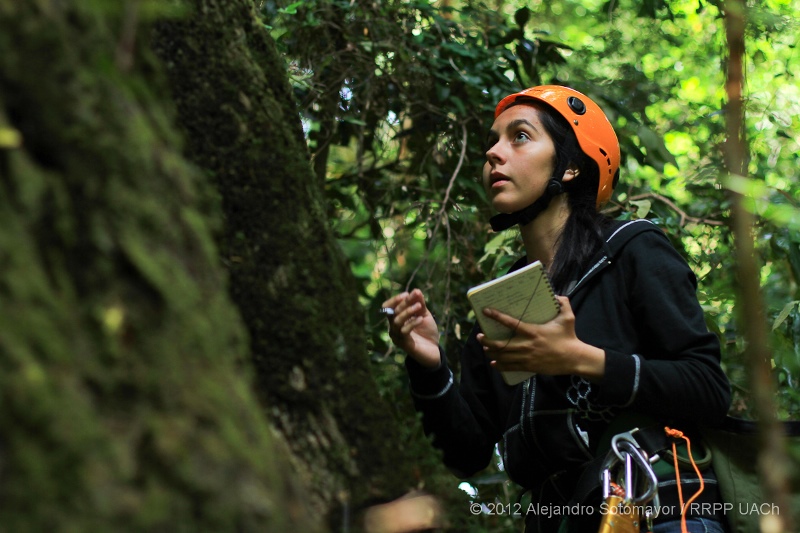 Ingeniería en Conservación de Recursos Naturales es acreditada por 5 años