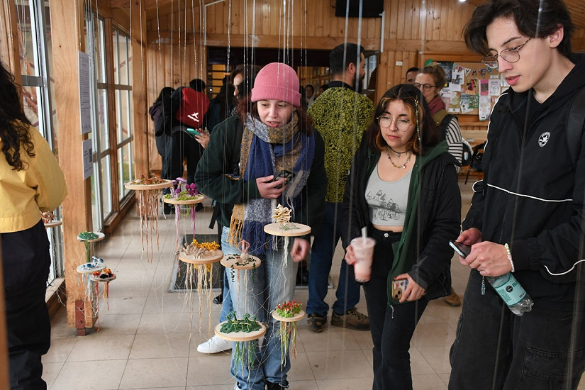 Arte y naturaleza se unen en exposición “microbosque bordado”
