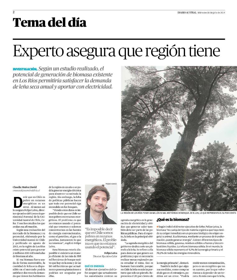 Experto asegura que región tiene biomasa para generar su energía