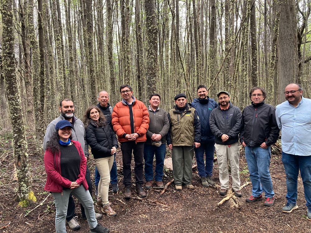 Consejo de Decanos trabaja para el fortalecimiento de la carrera de Ingeniería Forestal