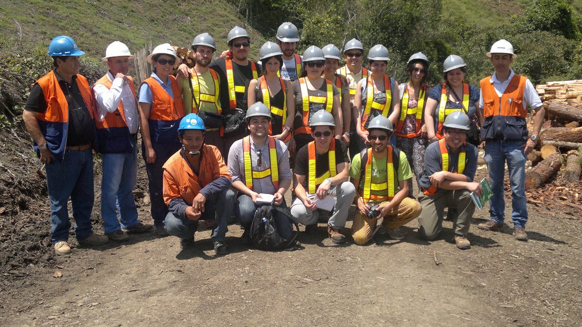 Resultado de imagen para ingenieria forestal