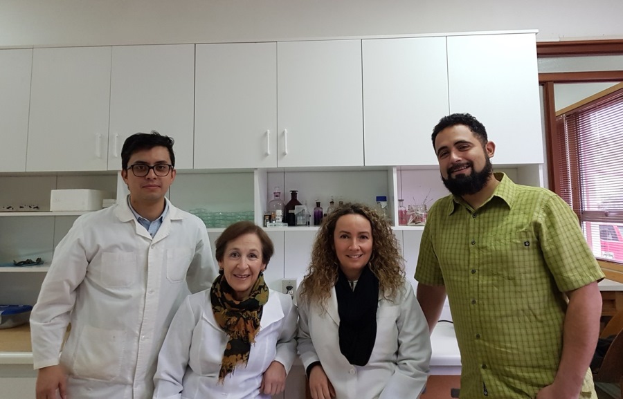 Laboratorio de Salud de Bosques potencia áreas de investigación en la UACh