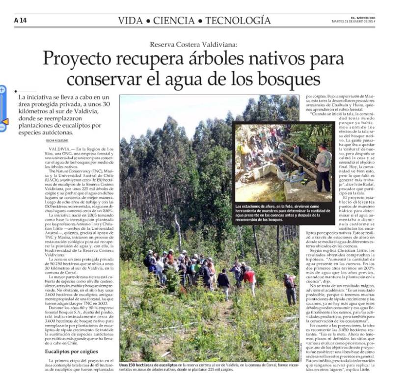 Proyecto recuperará árboles nativos para conservar el agua de los bosques