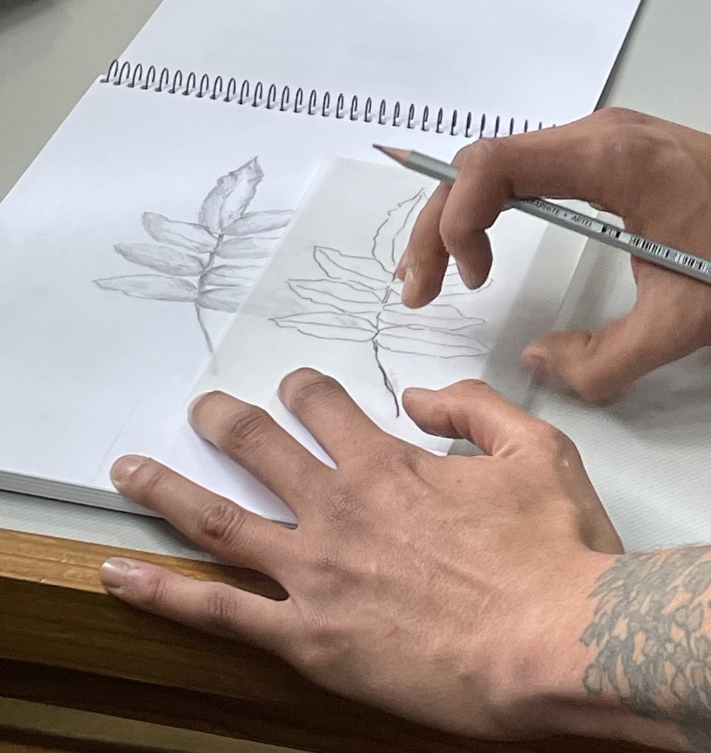 Promueven el conocimiento de especies nativas y exóticas a través de la ilustración botánica