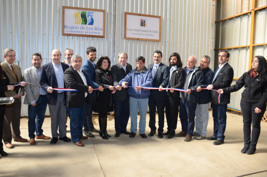 Tecnología permitirá mayor rentabilidad a industriales de la madera