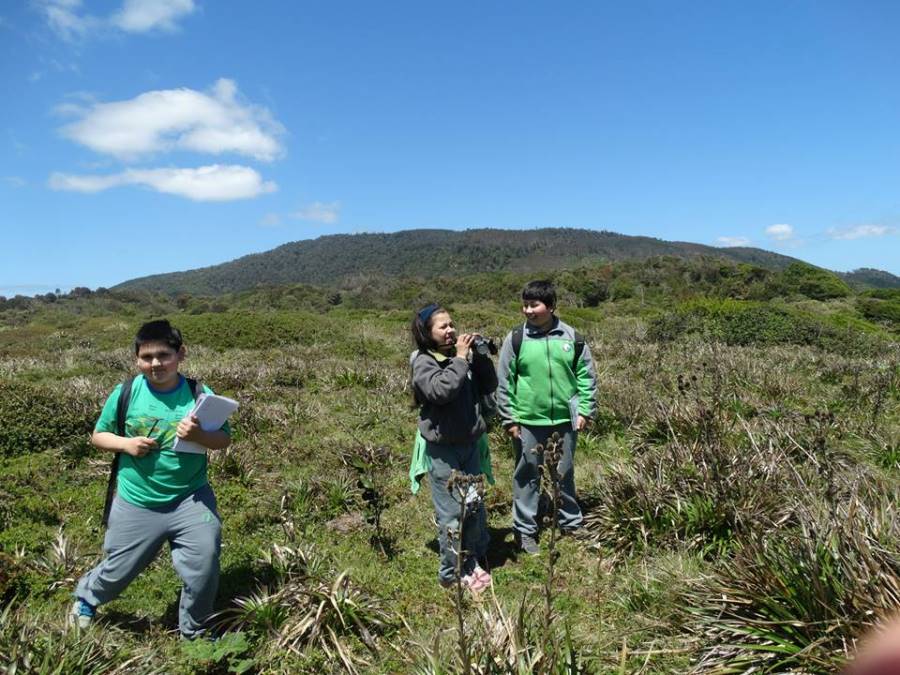Estudiantes de la UACh y Escuela Juan Bosch de Niebla censaron aves