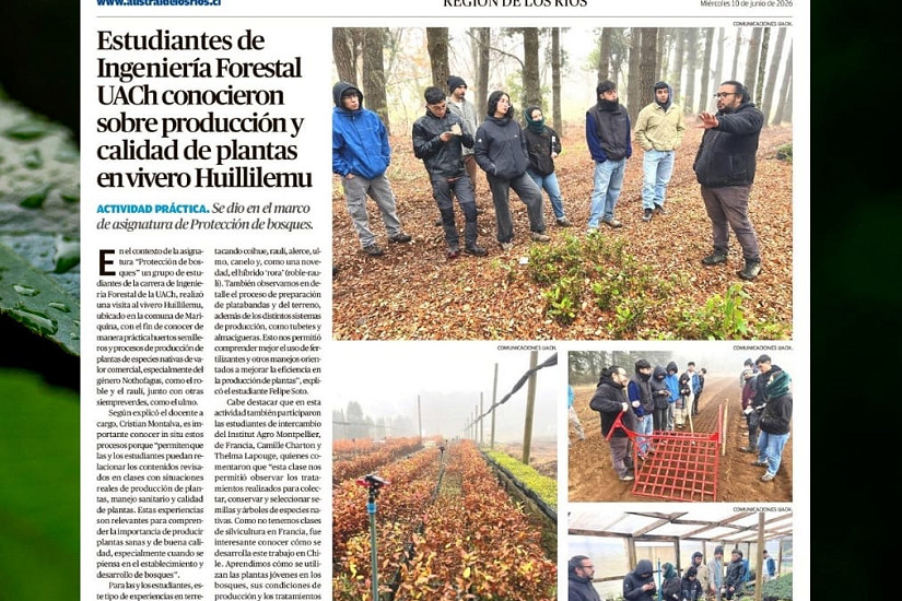 Estudiantes de Ingeniería Forestal UACh conocieron sobre producción y calidad de plantas en vivero Huillilemu