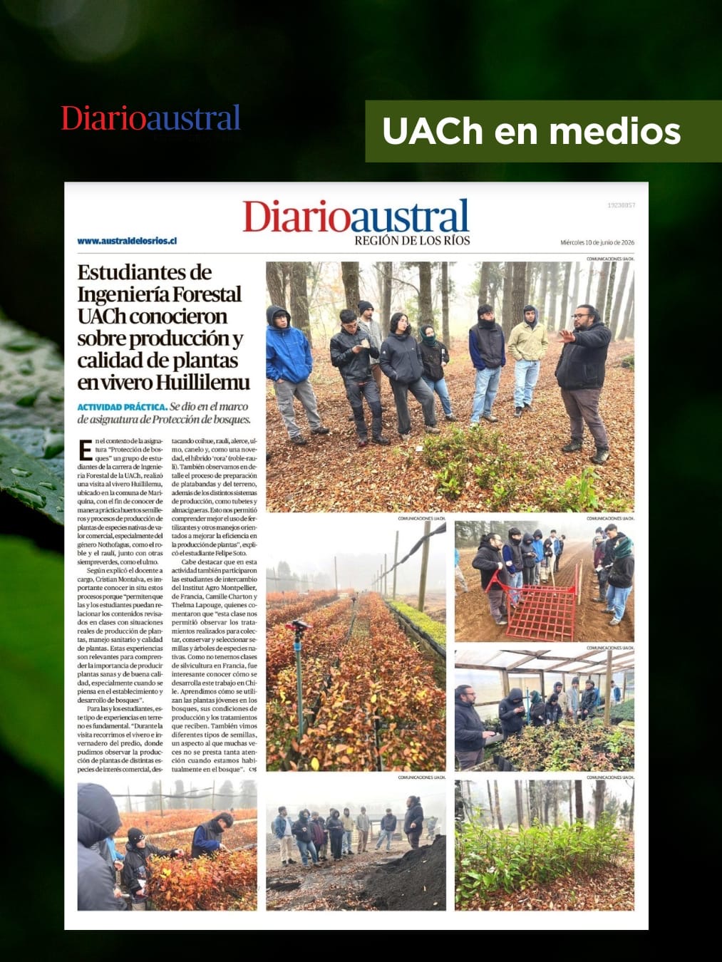 Estudiantes de Ingeniería Forestal UACh conocieron sobre producción y calidad de plantas en vivero Huillilemu