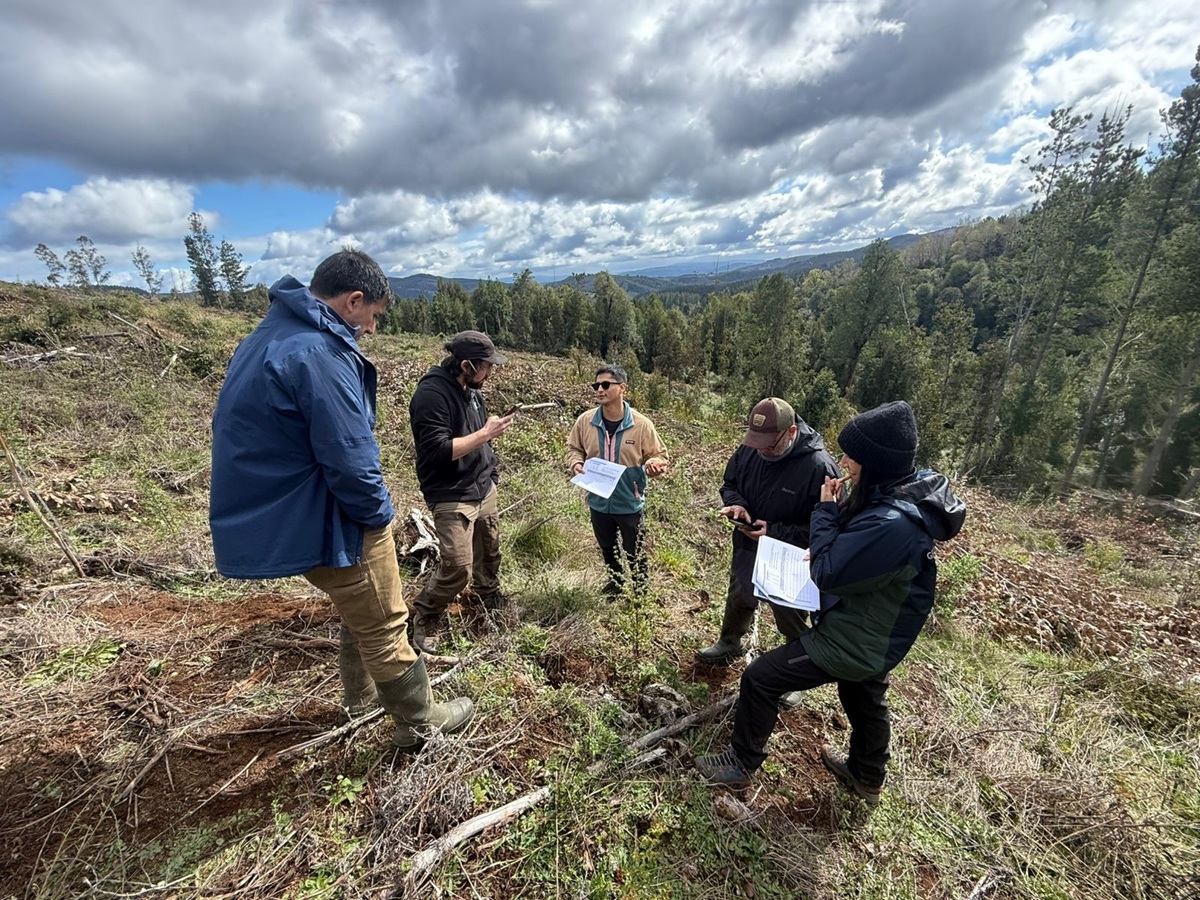 Innovadora metodología de monitoreo con miras a fortalecer acciones de restauración de bosque a nivel nacional