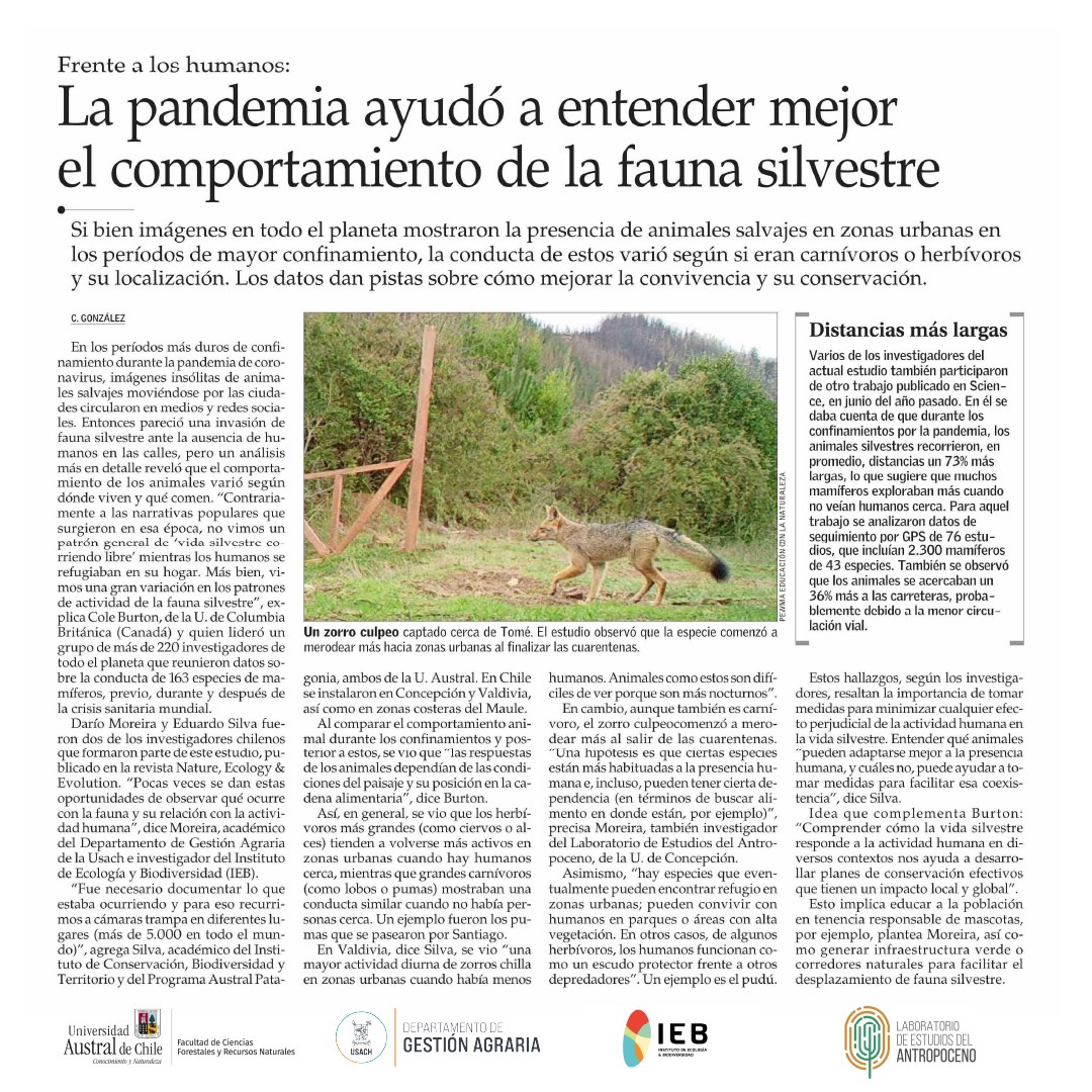 La pandemia ayudó a entender mejor el comportamiento de la fauna silvestre