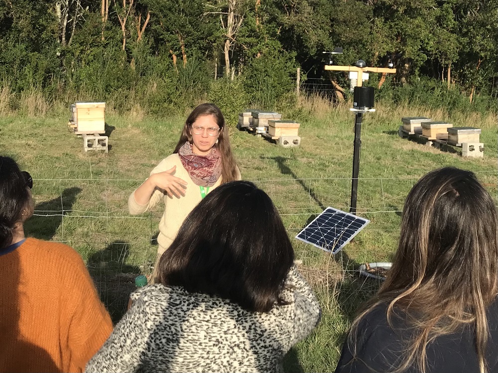 Dieron a conocer los impactos del cambio climático en la apicultura chilena