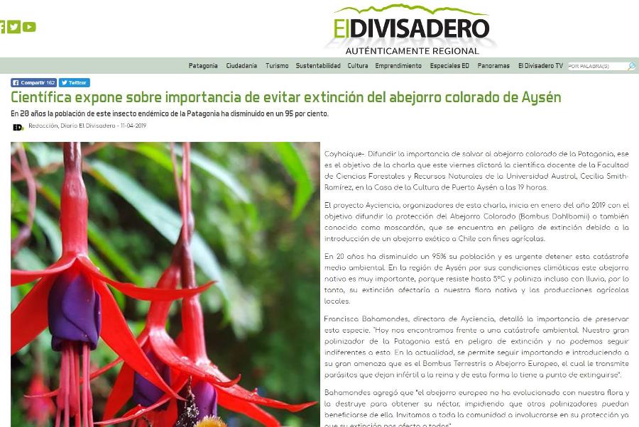 Científica expone sobre importancia de evitar extinción del abejorro colorado de Aysén