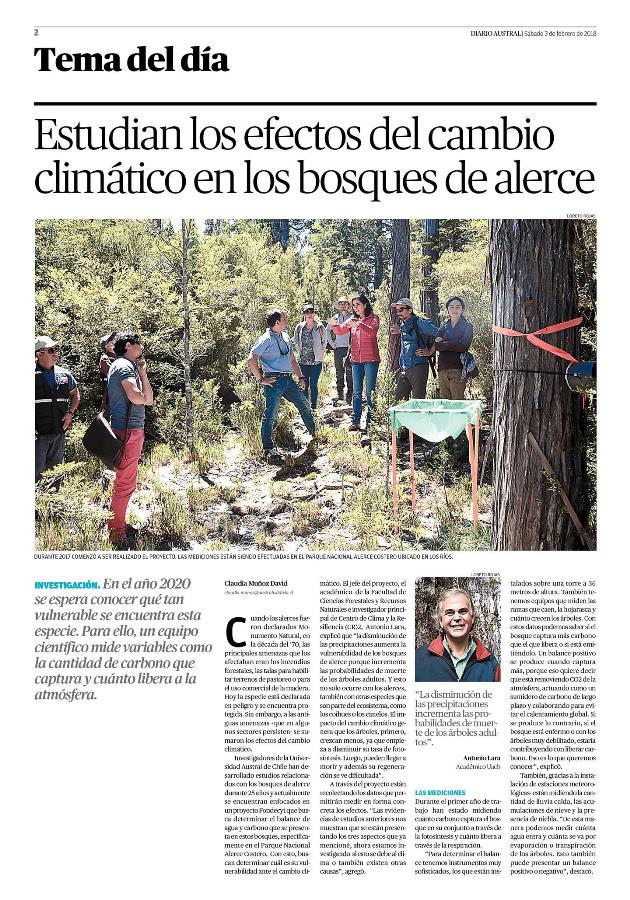 Estudian los efectos del cambio climático en los bosques de alerce