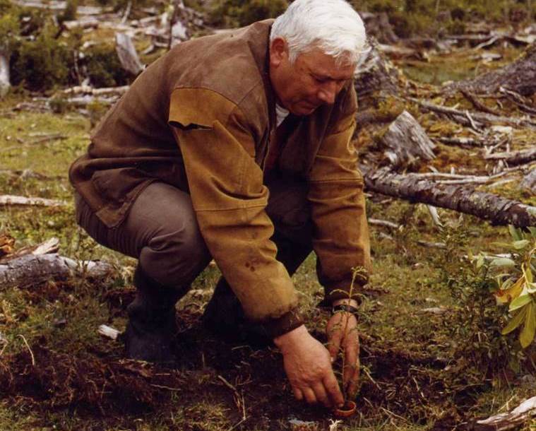 Don Alfredo Núñez: 20 años de compromiso y amor por los alerces