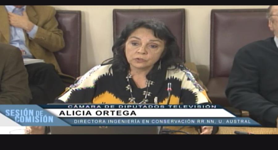 Académicos UACh presentan propuestas a proyecto sobre Servicio Nacional Forestal en Cámara de Diputados