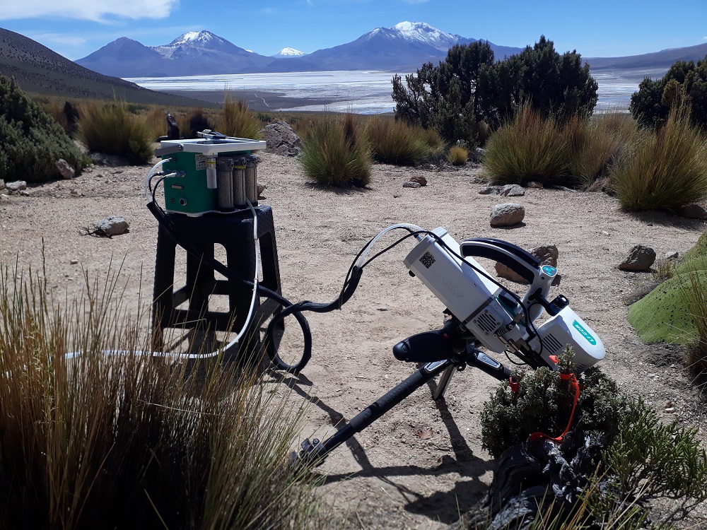 Estudian fisiología del árbol que crece a mayor elevación en el planeta