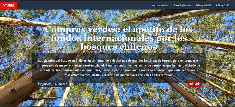Compras verdes: el apetito de los fondos internacionales por los bosques chilenos