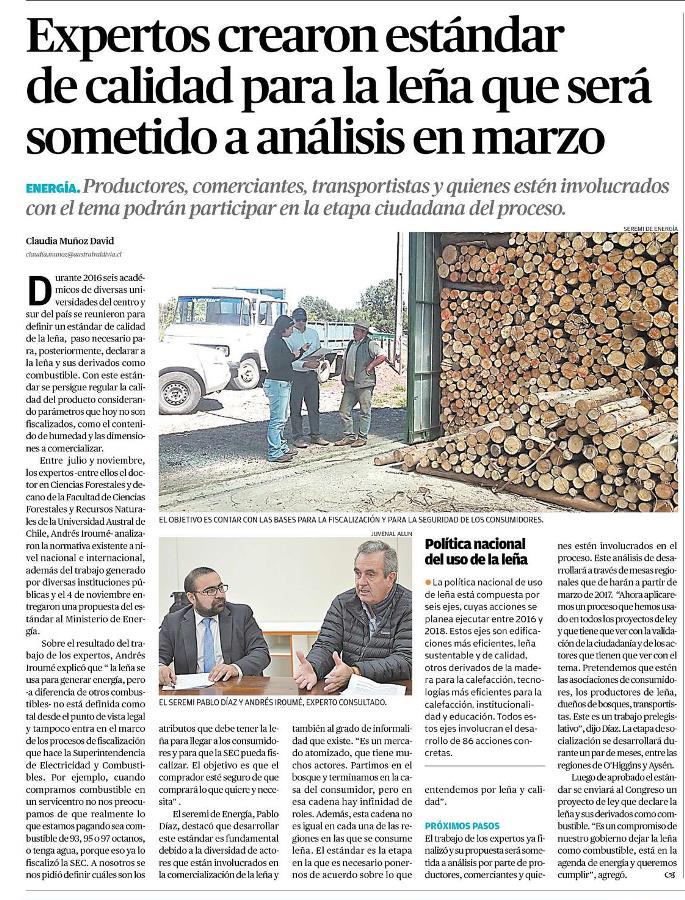 Expertos crearon estándar de calidad para la leña que será sometido a análisis en marzo