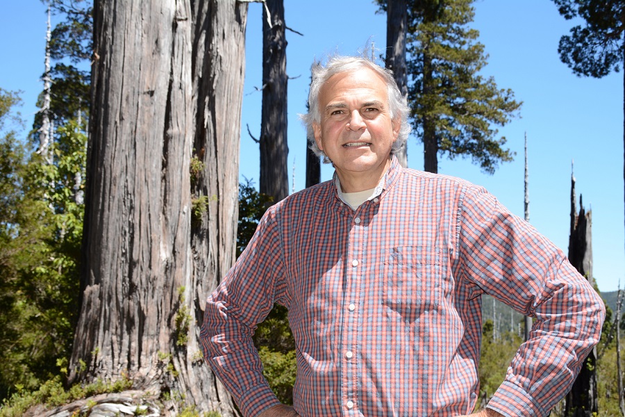 Columna: Los derechos de la Naturaleza y el cambio climático en una nueva Constitución para Chile