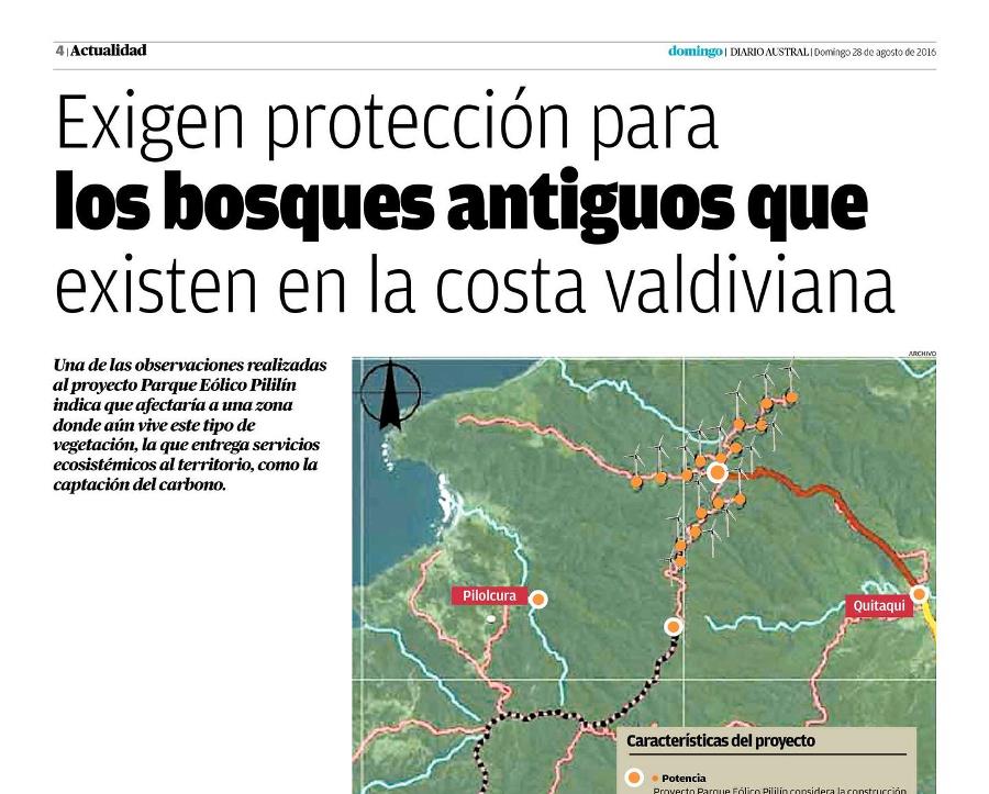 Exigen protección para bosques antiguos de costa valdiviana