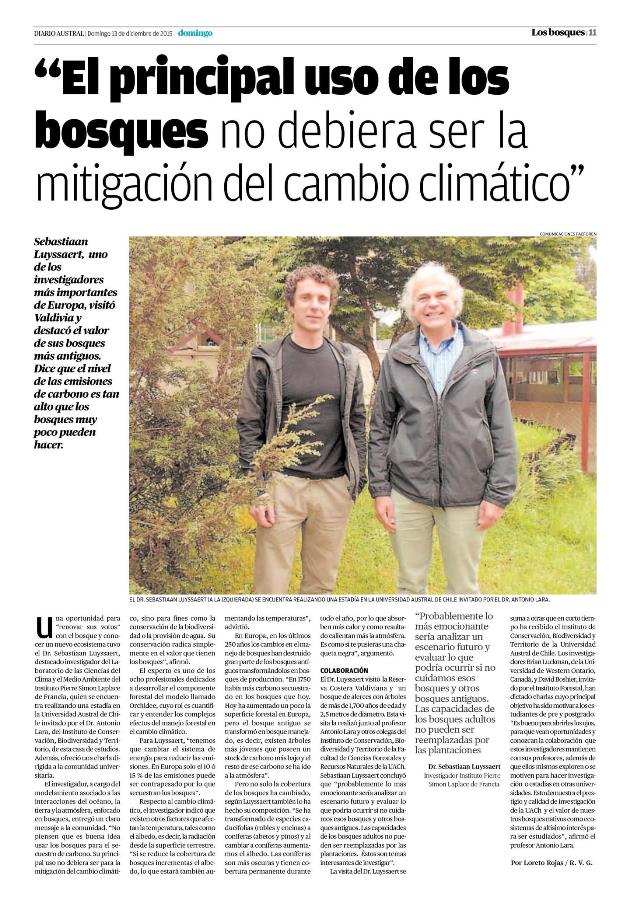 El uso de los bosques no debiera ser la mitigación del cambio climático