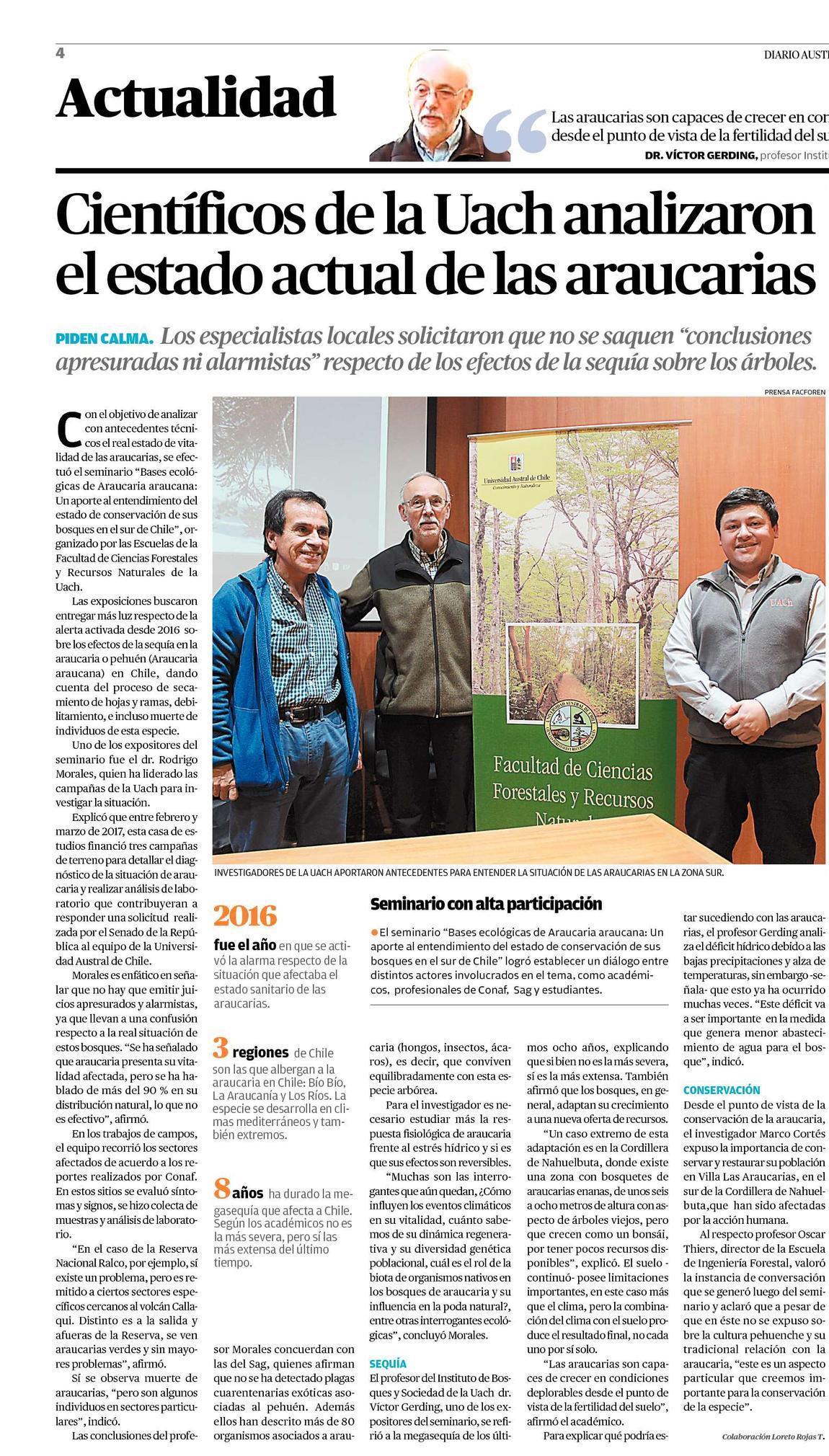 Científicos de la UACh analizaron el estado actual de las araucarias