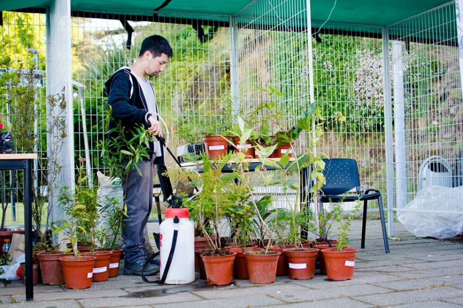 Exposición de flora nativa y enseñanza de propagación de plantas provocaron gran interés en Feria de la Biodiversidad