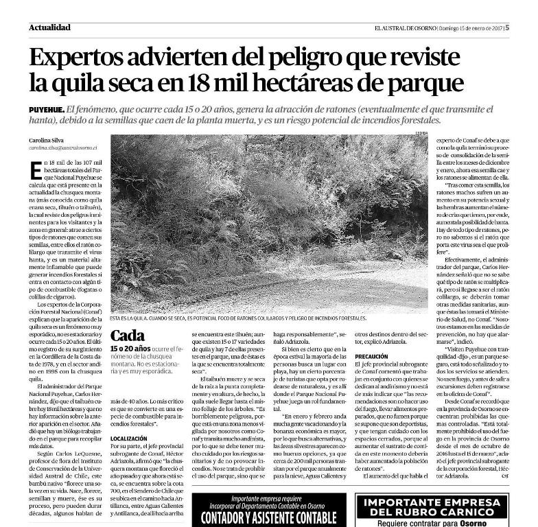 Expertos advierten del peligro que reviste la quila seca en 18 mil hectáreas de parque