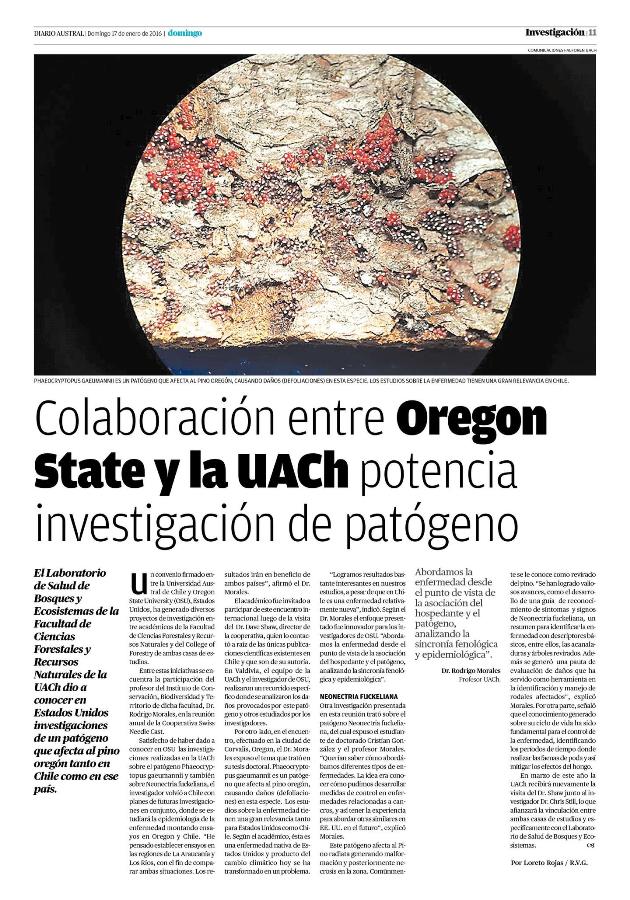 Colaboración entre Oregon State y la UACh potencia investigación de patógeno